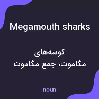 معنی megamouth sharks به فارسی معنی megamouth sharks به فارسی