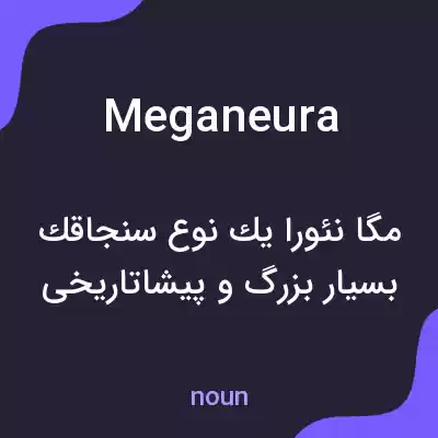 معنی meganeura به فارسی معنی meganeura به فارسی