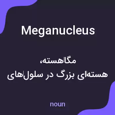 معنی meganucleus به فارسی معنی meganucleus به فارسی