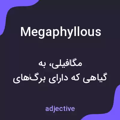 معنی megaphyllous به فارسی معنی megaphyllous به فارسی