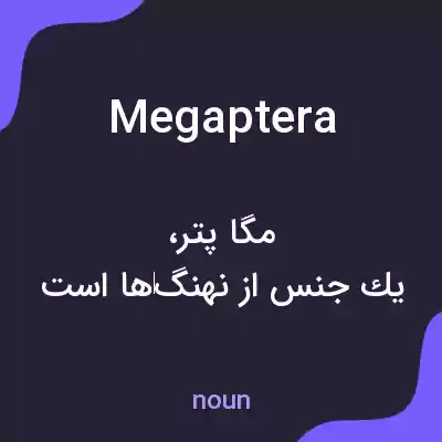 معنی megaptera به فارسی معنی megaptera به فارسی