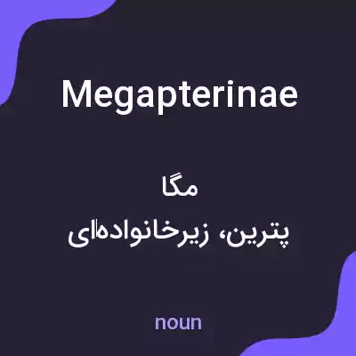 معنی megapterinae به فارسی معنی megapterinae به فارسی