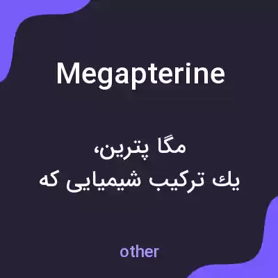 معنی megapterine به فارسی معنی megapterine به فارسی