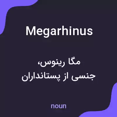 معنی megarhinus به فارسی معنی megarhinus به فارسی