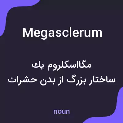 معنی megasclerum به فارسی معنی megasclerum به فارسی