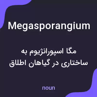 معنی megasporangium به فارسی معنی megasporangium به فارسی