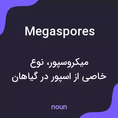 معنی megaspores به فارسی معنی megaspores به فارسی