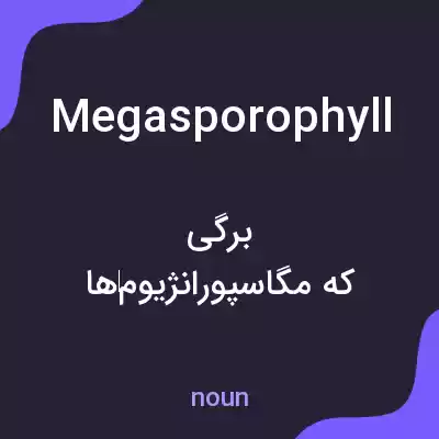 معنی megasporophyll به فارسی معنی megasporophyll به فارسی
