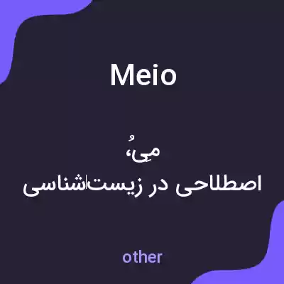 معنی meio به فارسی معنی meio به فارسی