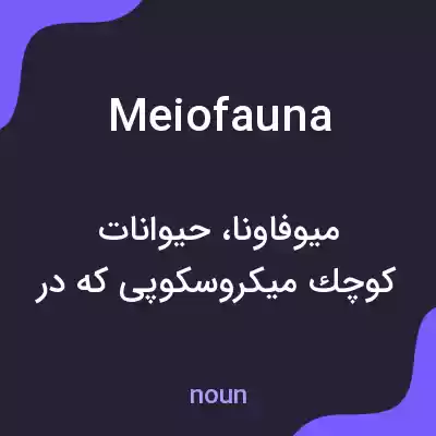 معنی meiofauna به فارسی معنی meiofauna به فارسی