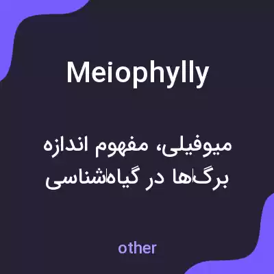معنی meiophylly به فارسی معنی meiophylly به فارسی