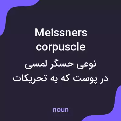 معنی meissners corpuscle به فارسی معنی meissners corpuscle به فارسی