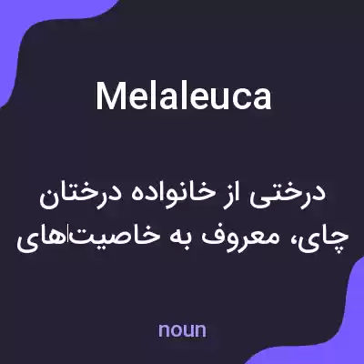 معنی melaleuca به فارسی معنی melaleuca به فارسی