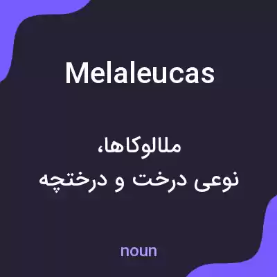 معنی melaleucas به فارسی معنی melaleucas به فارسی