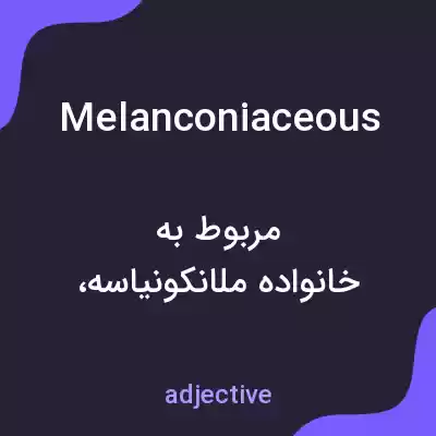 معنی melanconiaceous به فارسی معنی melanconiaceous به فارسی
