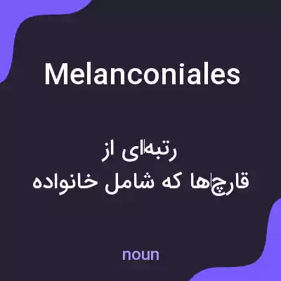 معنی melanconiales به فارسی معنی melanconiales به فارسی