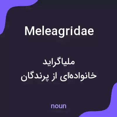 معنی meleagridae به فارسی معنی meleagridae به فارسی