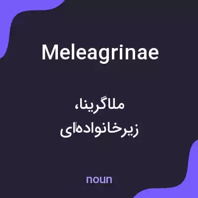 معنی meleagrinae به فارسی
