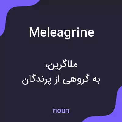 معنی meleagrine به فارسی معنی meleagrine به فارسی