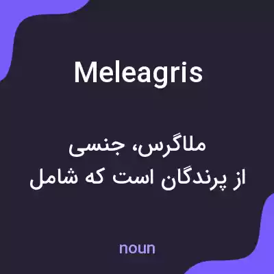 معنی meleagris به فارسی معنی meleagris به فارسی