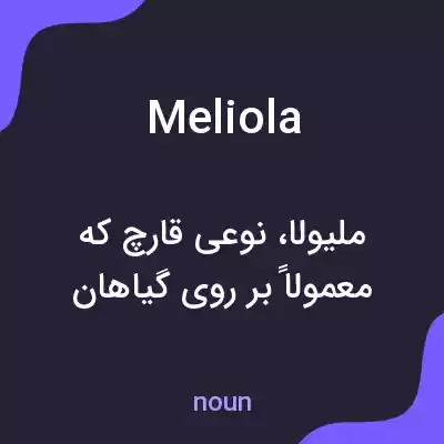 معنی meliola به فارسی معنی meliola به فارسی
