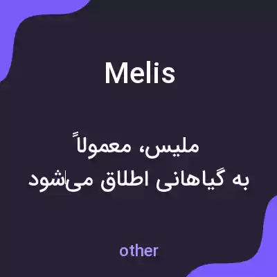 معنی melis به فارسی معنی melis به فارسی