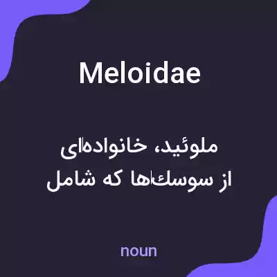 معنی meloidae به فارسی معنی meloidae به فارسی