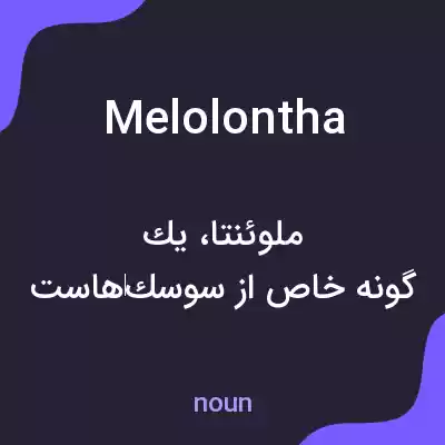 معنی melolontha به فارسی معنی melolontha به فارسی