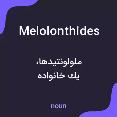 معنی melolonthides به فارسی معنی melolonthides به فارسی