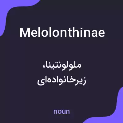 معنی melolonthinae به فارسی معنی melolonthinae به فارسی