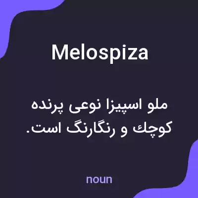 معنی melospiza به فارسی معنی melospiza به فارسی