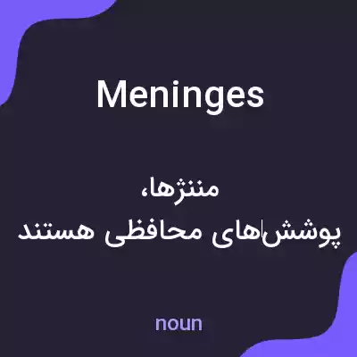 معنی meninges به فارسی معنی meninges به فارسی