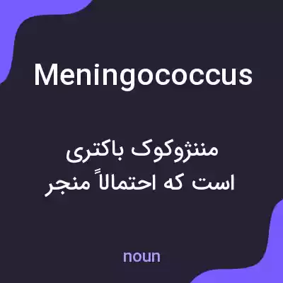 معنی meningococcus به فارسی