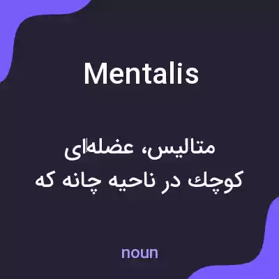 معنی mentalis به فارسی معنی mentalis به فارسی
