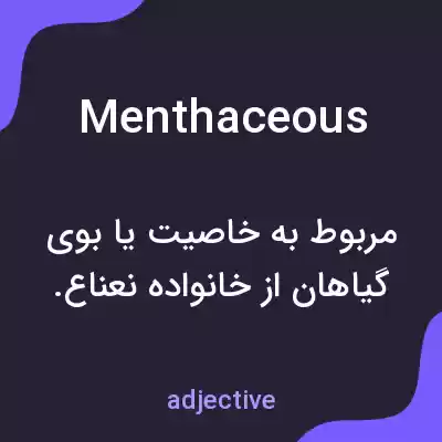 معنی menthaceous به فارسی معنی menthaceous به فارسی