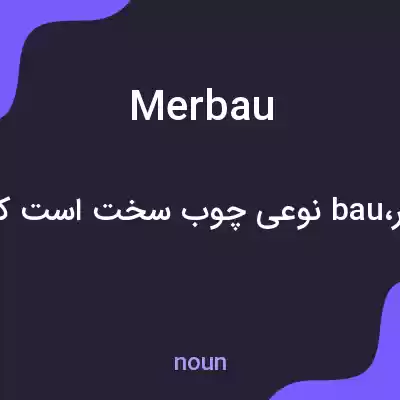 معنی merbau به فارسی معنی merbau به فارسی