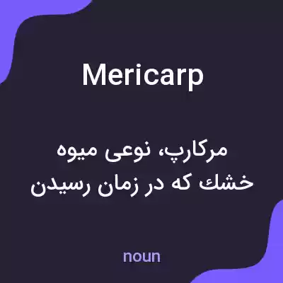 معنی mericarp به فارسی معنی mericarp به فارسی