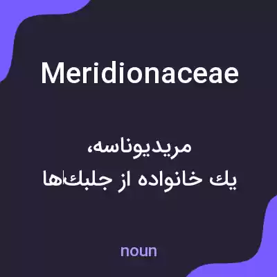 معنی meridionaceae به فارسی معنی meridionaceae به فارسی
