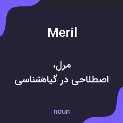 معنی meril به فارسی معنی meril به فارسی