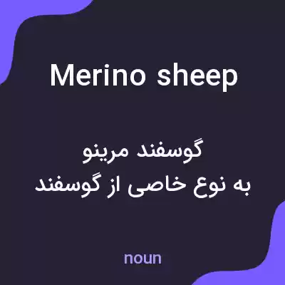 معنی merino sheep به فارسی معنی merino sheep به فارسی