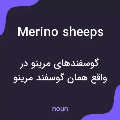 معنی merino sheeps به فارسی معنی merino sheeps به فارسی