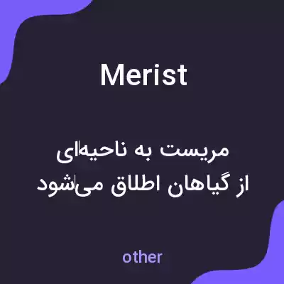 معنی merist به فارسی معنی merist به فارسی
