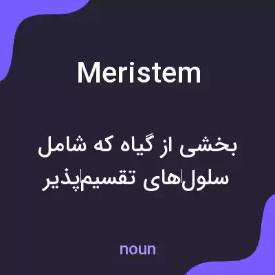 معنی meristem به فارسی معنی meristem به فارسی