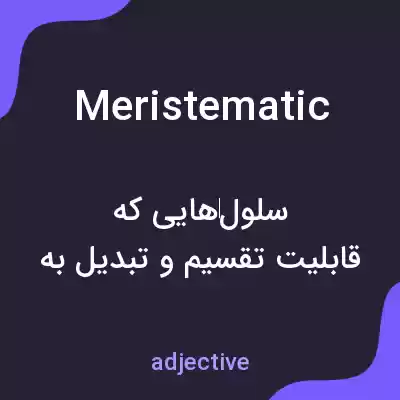 معنی meristematic به فارسی معنی meristematic به فارسی