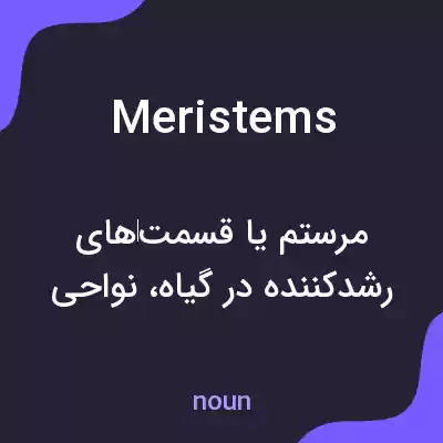 معنی meristems به فارسی معنی meristems به فارسی