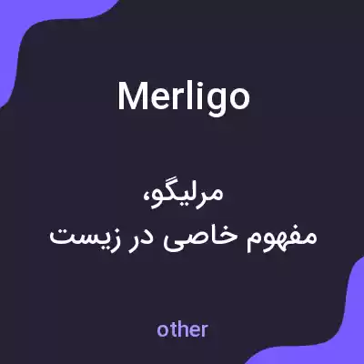 معنی merligo به فارسی