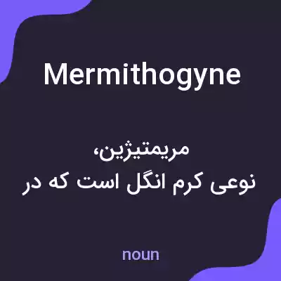 معنی mermithogyne به فارسی معنی mermithogyne به فارسی