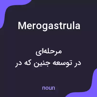 معنی merogastrula به فارسی معنی merogastrula به فارسی