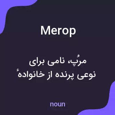 معنی merop به فارسی معنی merop به فارسی