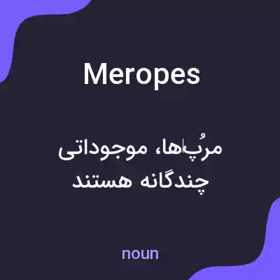 معنی meropes به فارسی معنی meropes به فارسی